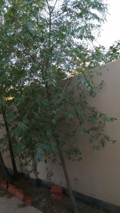 Mes publications Crowdsourcing