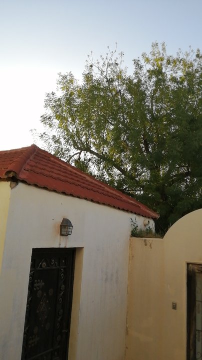 Mes publications Crowdsourcing