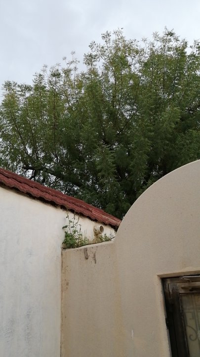 Mes publications Crowdsourcing