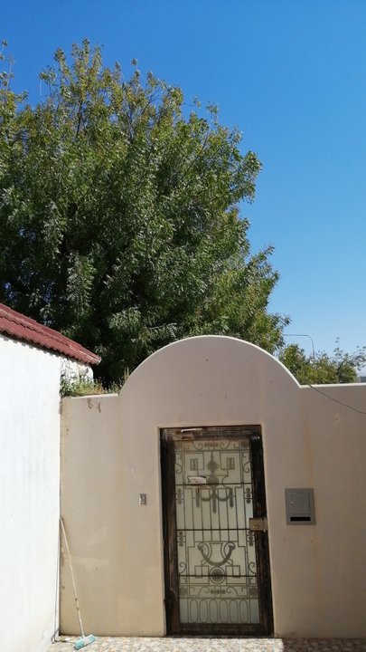 Mes publications Crowdsourcing