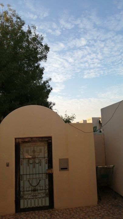 Mes publications Crowdsourcing