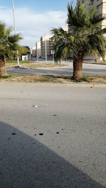 Mes publications Crowdsourcing