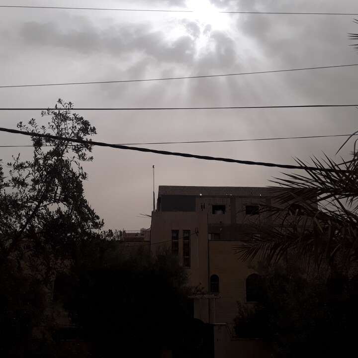 مشاركاتي في أنت الراصد