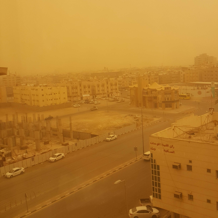 مشاركاتي في أنت الراصد