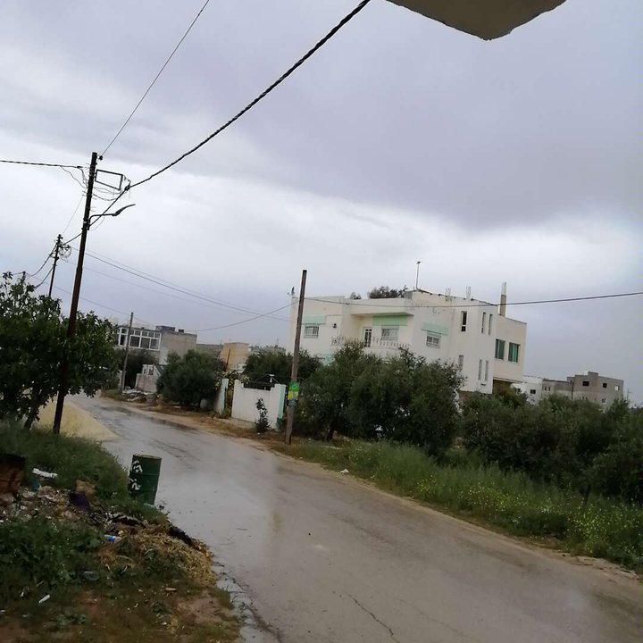 مشاركاتي في أنت الراصد