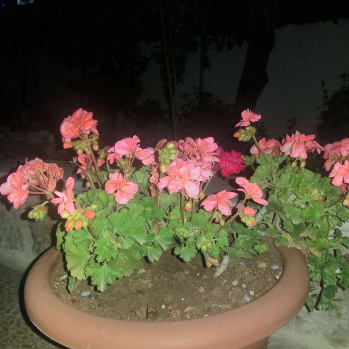 Mes publications Crowdsourcing