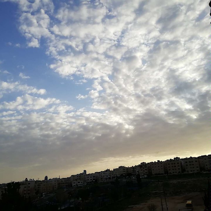 مشاركاتي في أنت الراصد