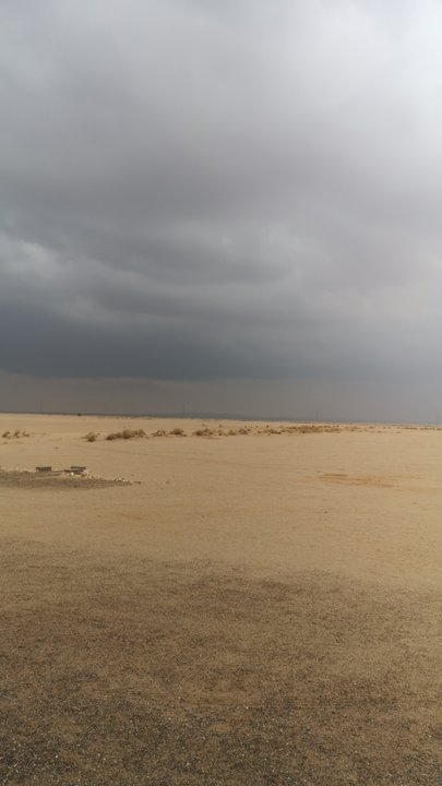 مشاركاتي في أنت الراصد