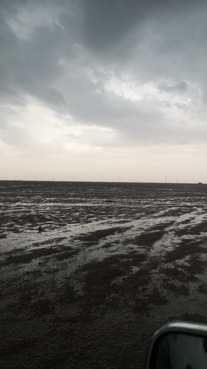 مشاركاتي في أنت الراصد