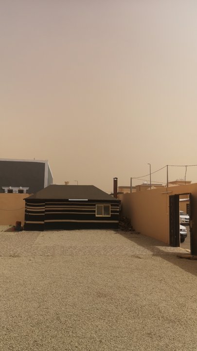 مشاركاتي في أنت الراصد