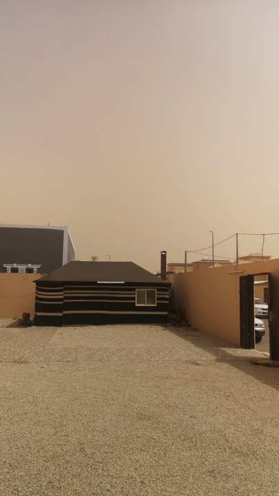 مشاركاتي في أنت الراصد