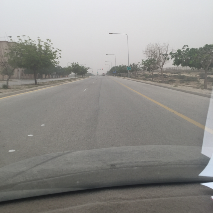 مشاركاتي في أنت الراصد