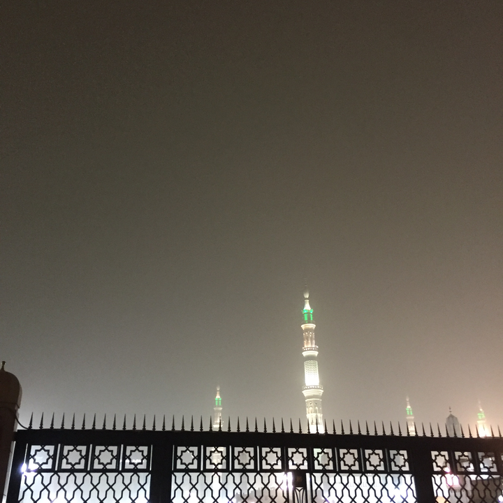 مشاركاتي في أنت الراصد