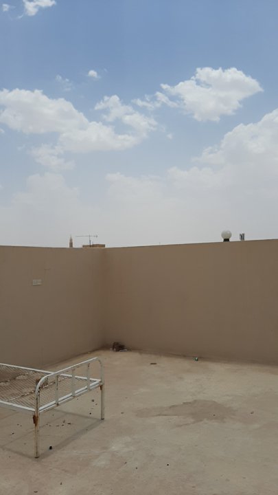 مشاركاتي في أنت الراصد