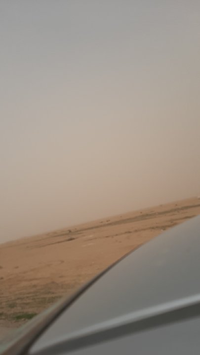 مشاركاتي في أنت الراصد