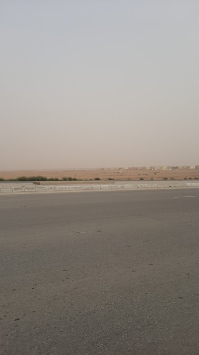 مشاركاتي في أنت الراصد