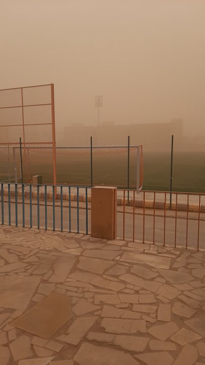 مشاركاتي في أنت الراصد