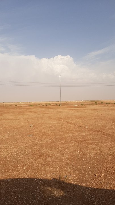 مشاركاتي في أنت الراصد