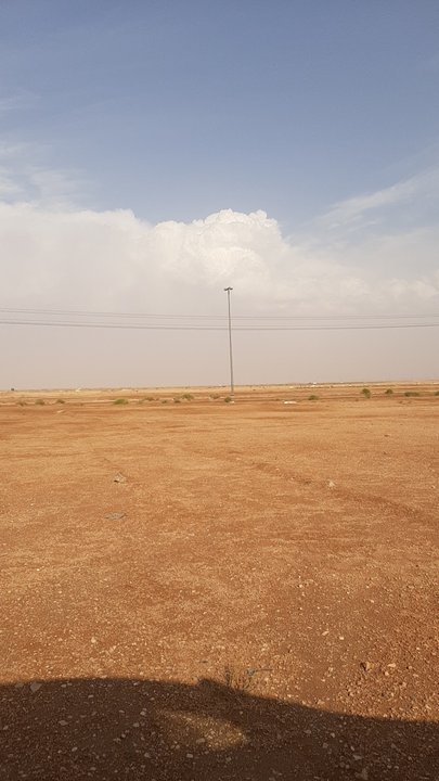 مشاركاتي في أنت الراصد