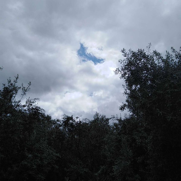 مشاركاتي في أنت الراصد