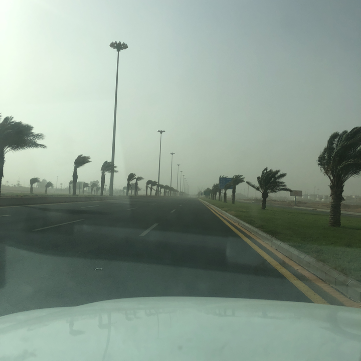 مشاركاتي في أنت الراصد