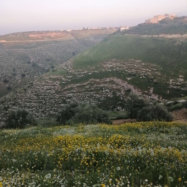 مشاركاتي في أنت الراصد