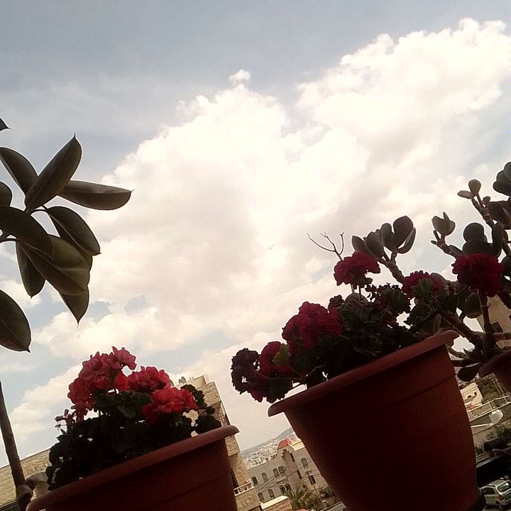 Mes publications Crowdsourcing