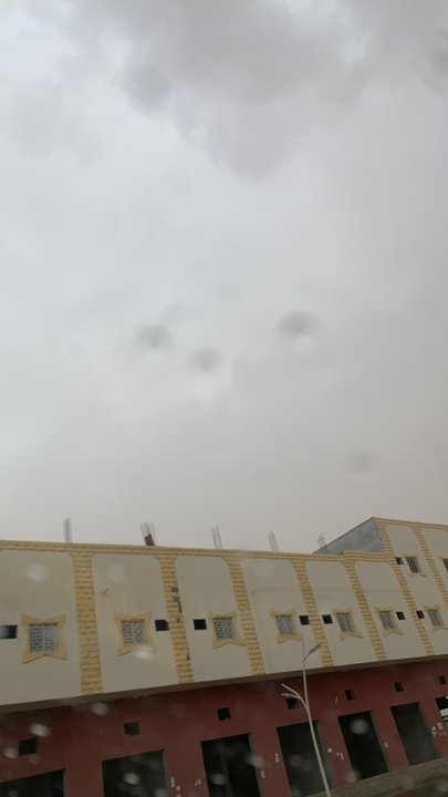 مشاركاتي في أنت الراصد