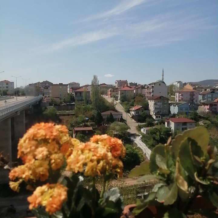 Mes publications Crowdsourcing