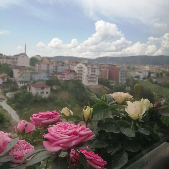 Mes publications Crowdsourcing