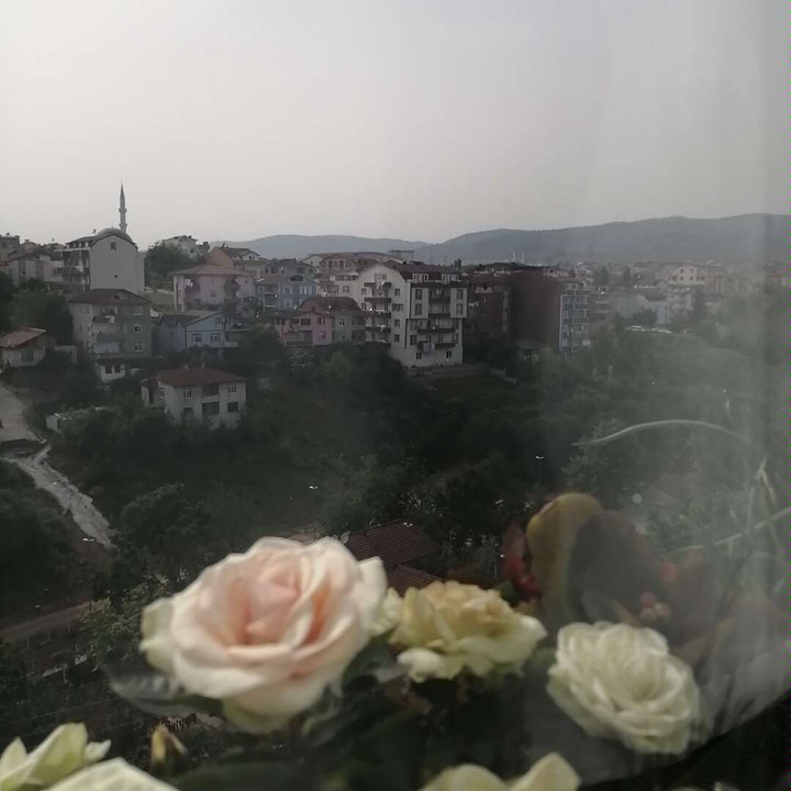 Mes publications Crowdsourcing