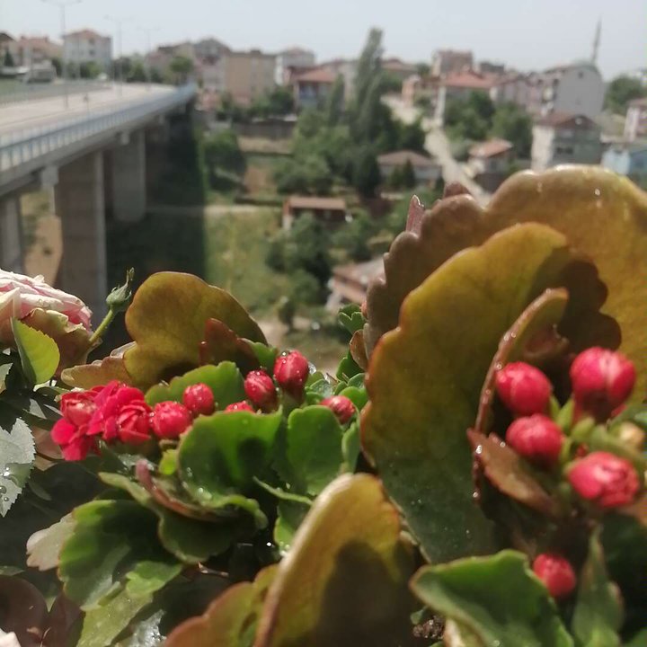 Mes publications Crowdsourcing