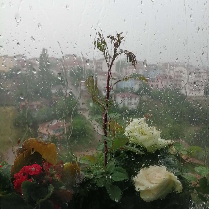 Mes publications Crowdsourcing