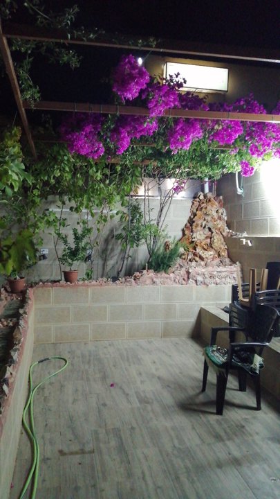 مشاركاتي في أنت الراصد