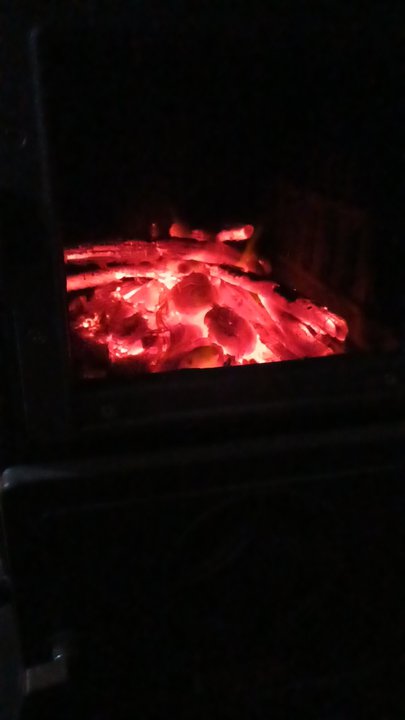 مشاركاتي في أنت الراصد