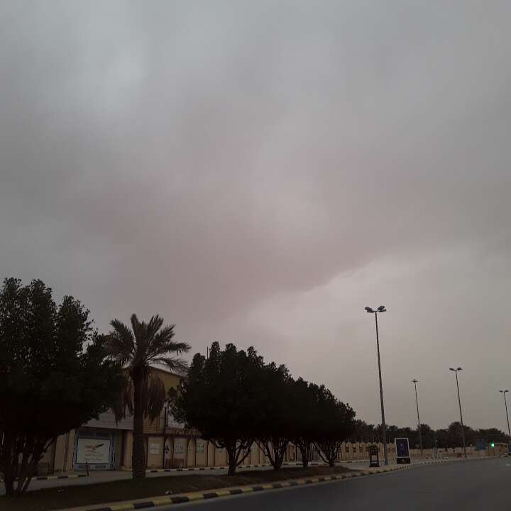 مشاركاتي في أنت الراصد