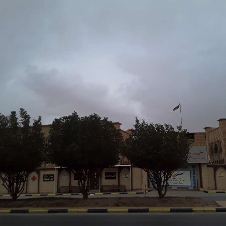 مشاركاتي في أنت الراصد