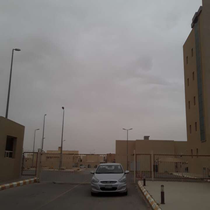 مشاركاتي في أنت الراصد