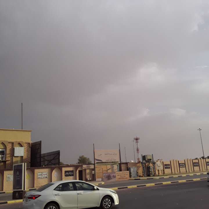 مشاركاتي في أنت الراصد