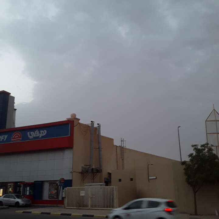 مشاركاتي في أنت الراصد