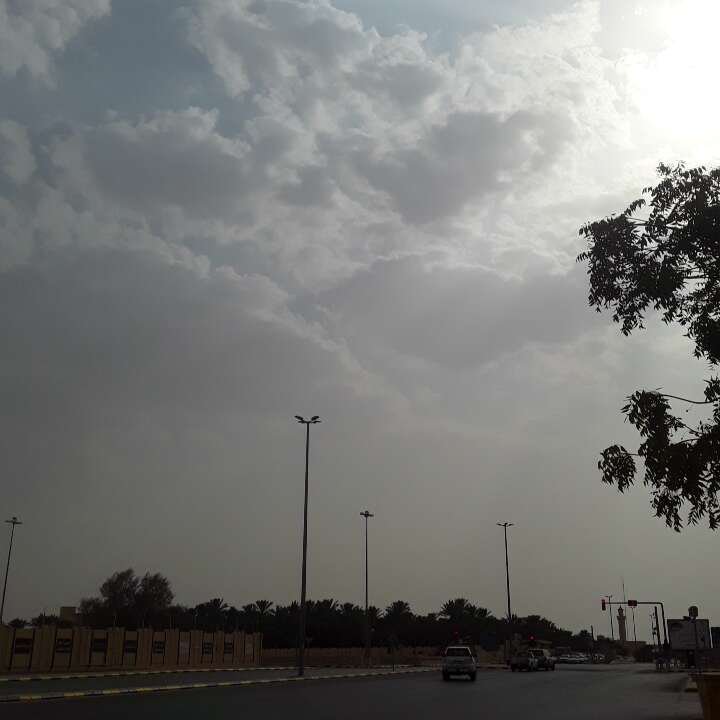 مشاركاتي في أنت الراصد