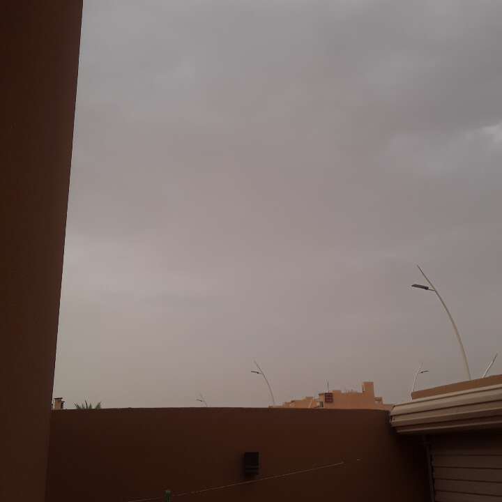 مشاركاتي في أنت الراصد