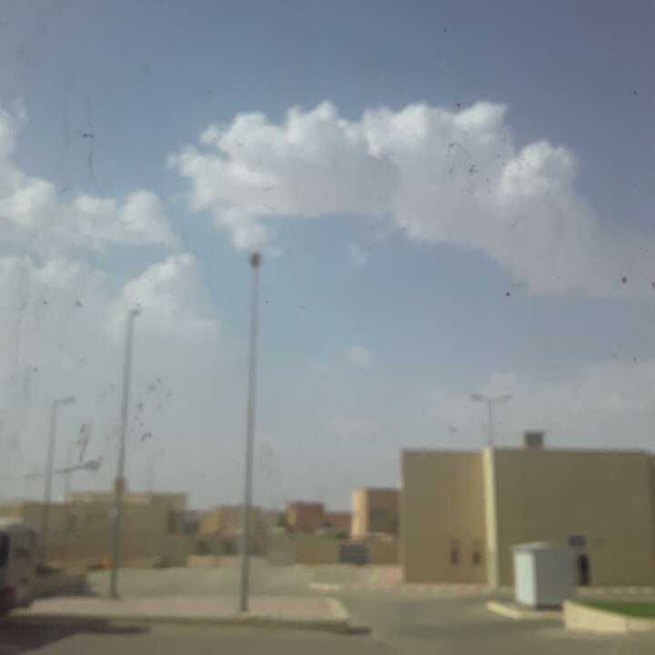 مشاركاتي في أنت الراصد