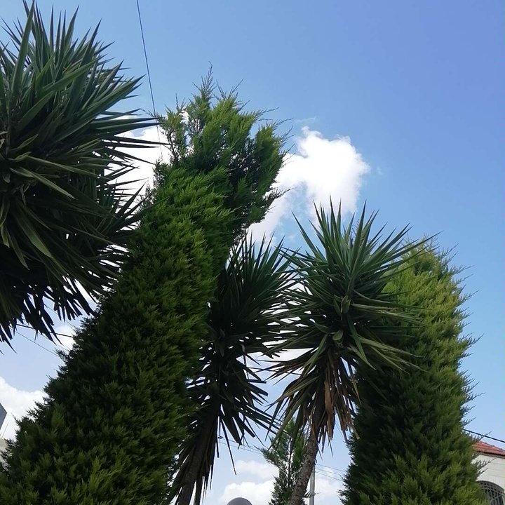 Mes publications Crowdsourcing