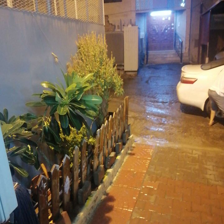 مشاركاتي في أنت الراصد