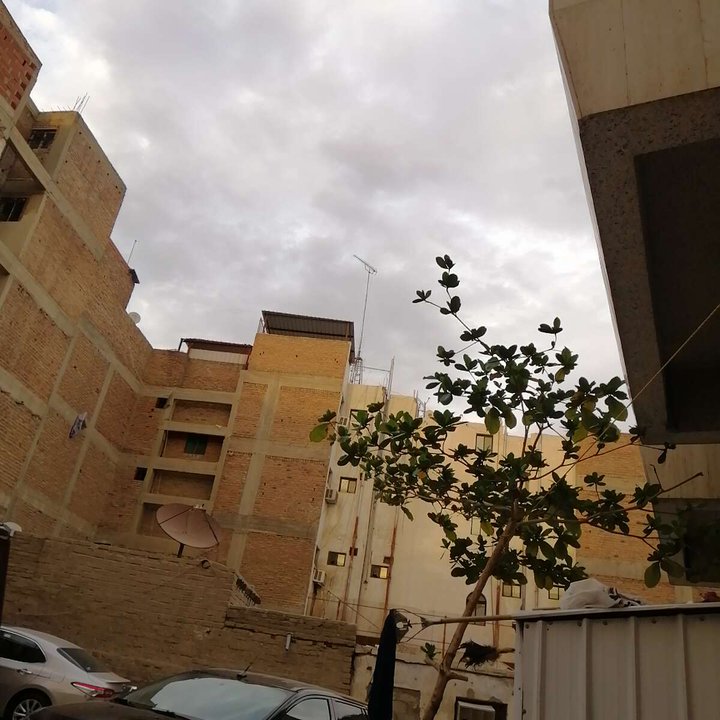 مشاركاتي في أنت الراصد