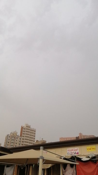 مشاركاتي في أنت الراصد