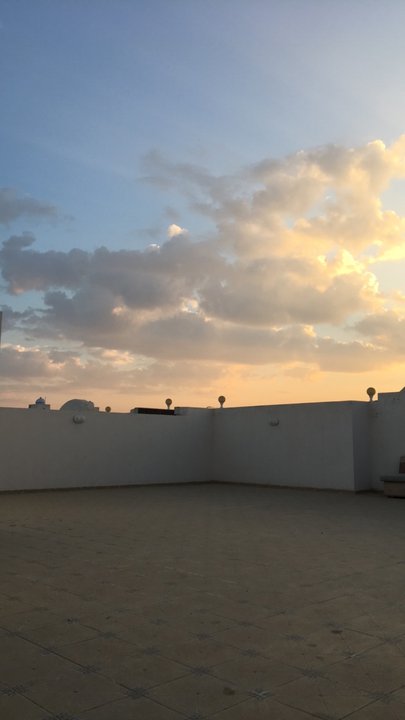 مشاركاتي في أنت الراصد