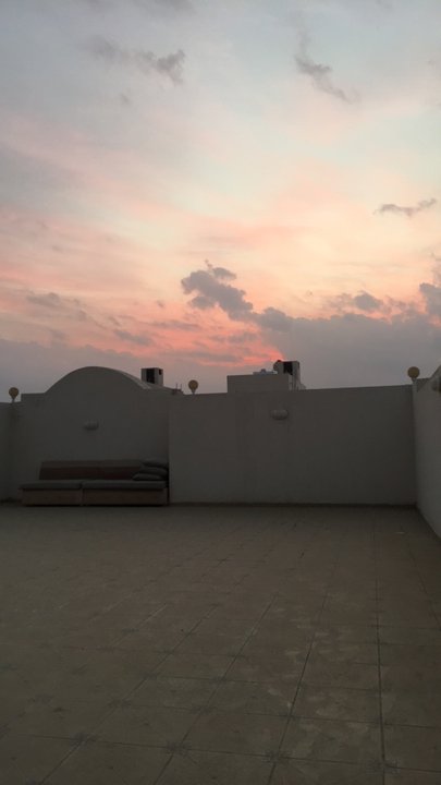 مشاركاتي في أنت الراصد