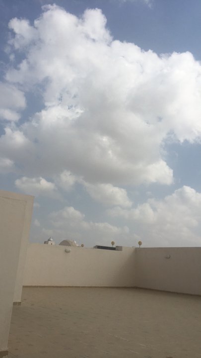 مشاركاتي في أنت الراصد